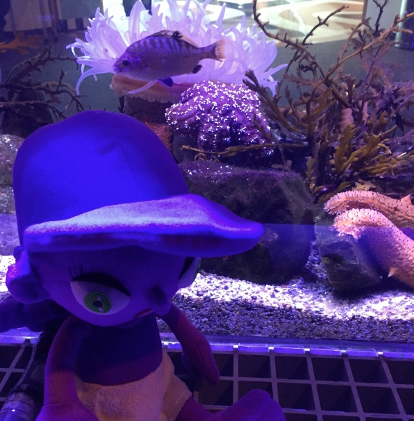Pookie is @ the Aquarium!