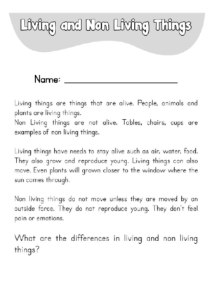 Living and Non Living Definition Worksheet
