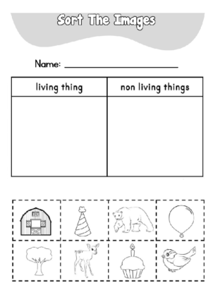 Sort The Image Worksheet