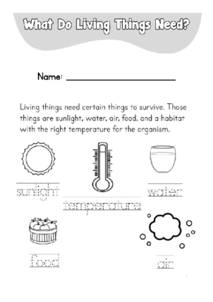 Trace What Living Things Need Worksheet