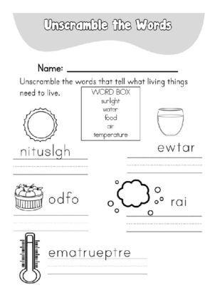 Unscramble What Living Things Need Worksheet