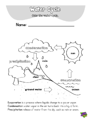Water Cycle