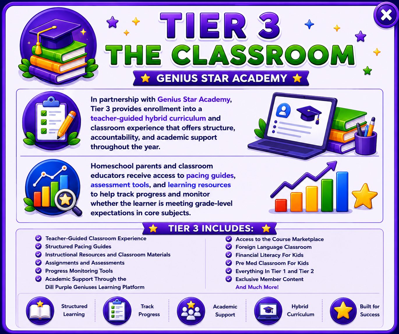 Tier 3 Details